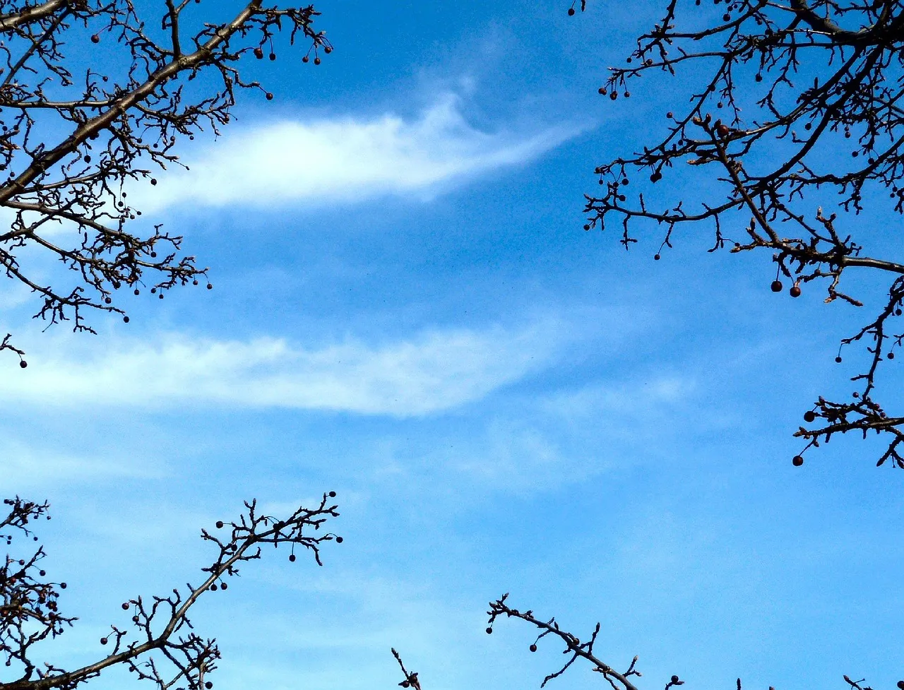 Actualmente - Presión: 1015 mbar - Humedad: 52% - Punto de rocío: 18°C - Amanecer 07:07 h - Ocaso 21:38 h (en 06:36h) - Duración del dia: 14:31h - Fase Lunar: Luna Nueva Visible